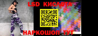 крисы Кулебаки