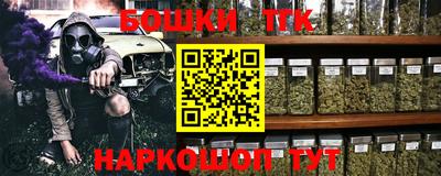 крисы Кулебаки