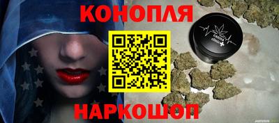 крисы Кулебаки