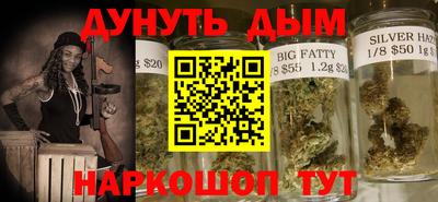 крисы Кулебаки