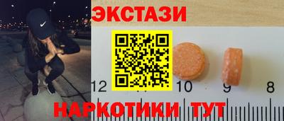 крисы Кулебаки