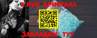 крисы Кулебаки