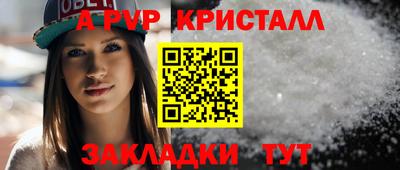 крисы Кулебаки