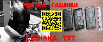 крисы Кулебаки