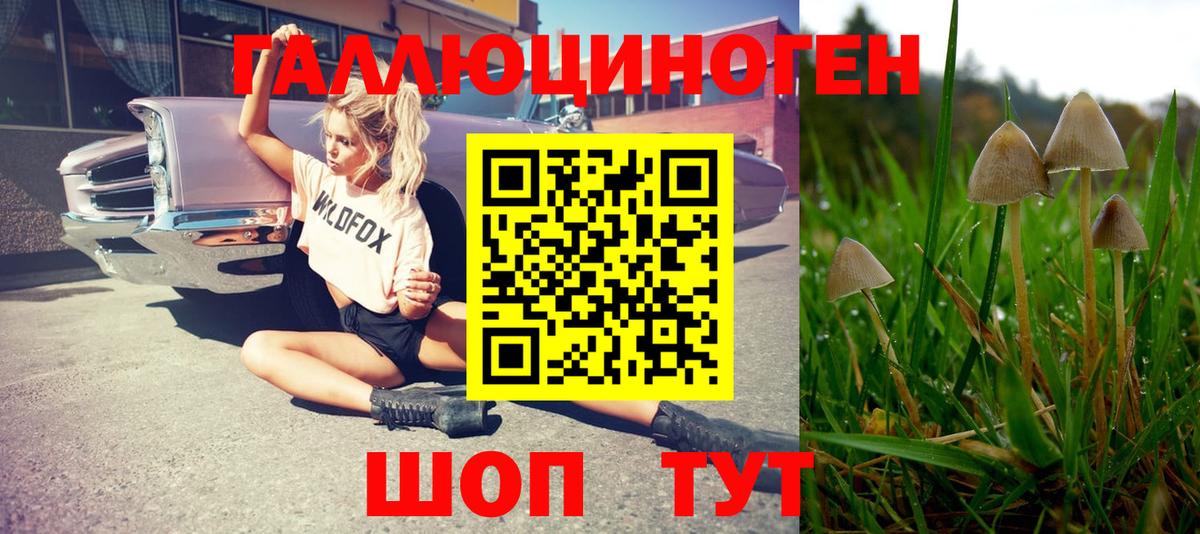 Псилоцибиновые грибы Magic Shrooms Карачаевск